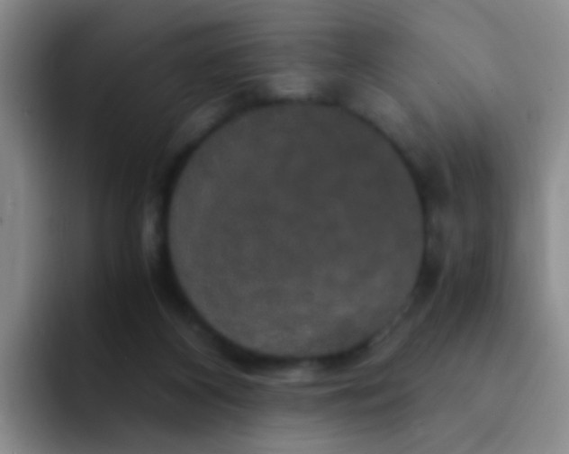 X0000091940116200709261939