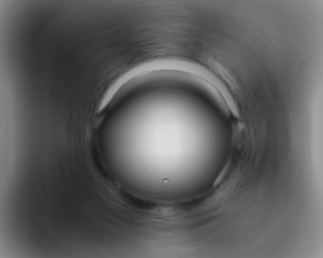 X0000091940117200709261939