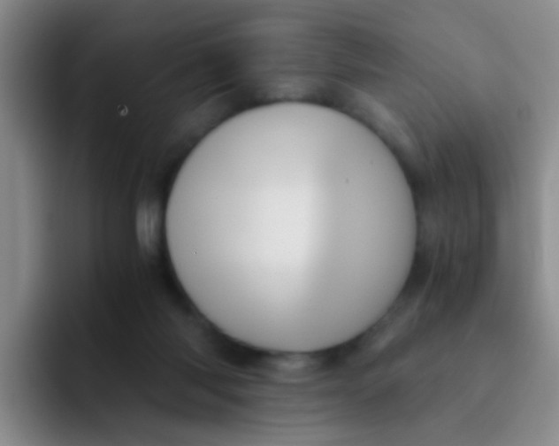 X0000091940118200709261939