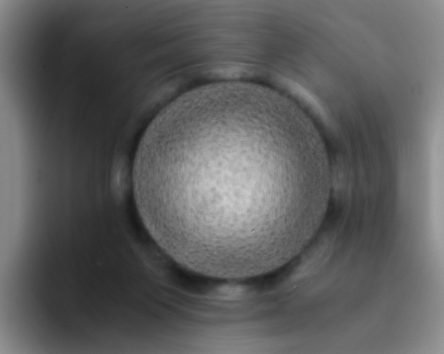 X0000091940119200709261939