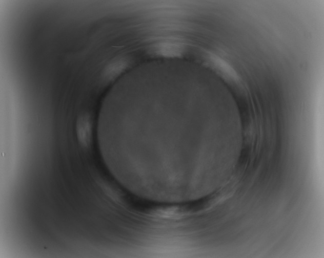 X0000091940120200709261939