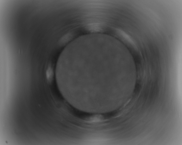 X0000091940124200709261939