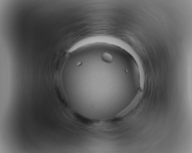 X0000091940125200709261939