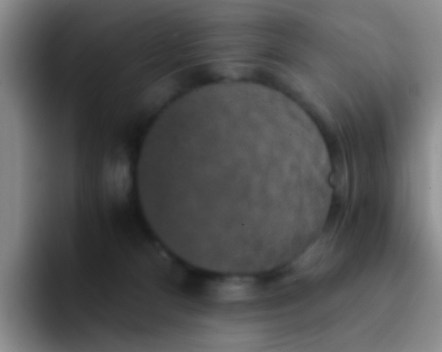 X0000091940128200709261939