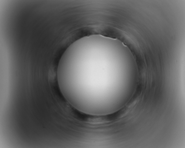 X0000091940129200709261939