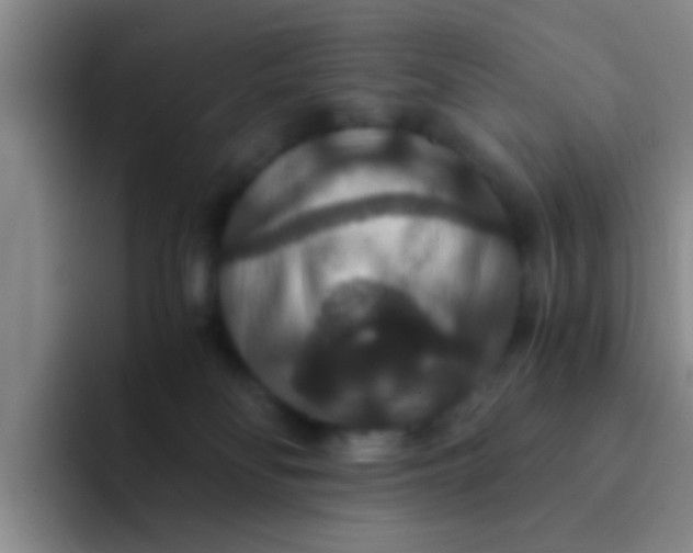 X0000091940134200709261939