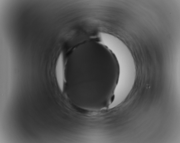 X0000091940137200709261939