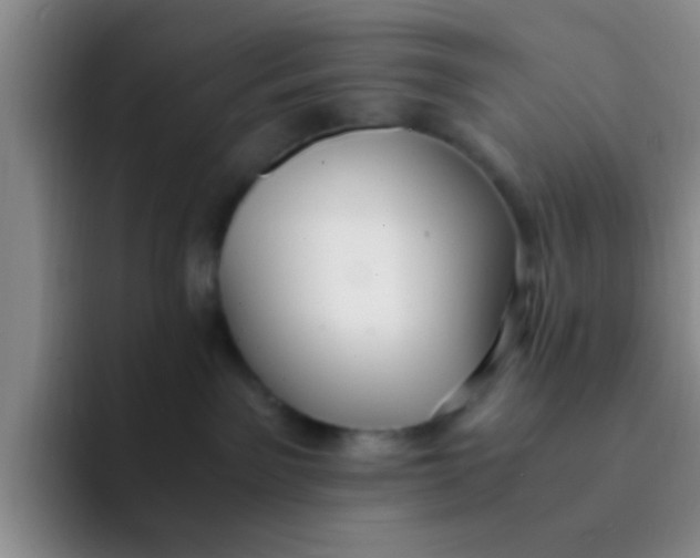 X0000091940141200709261939