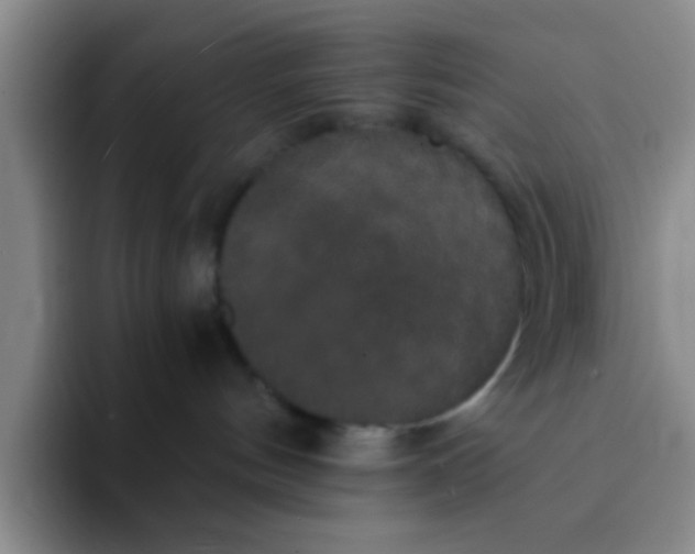 X0000091940144200709261939