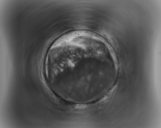 X0000091940145200709261938