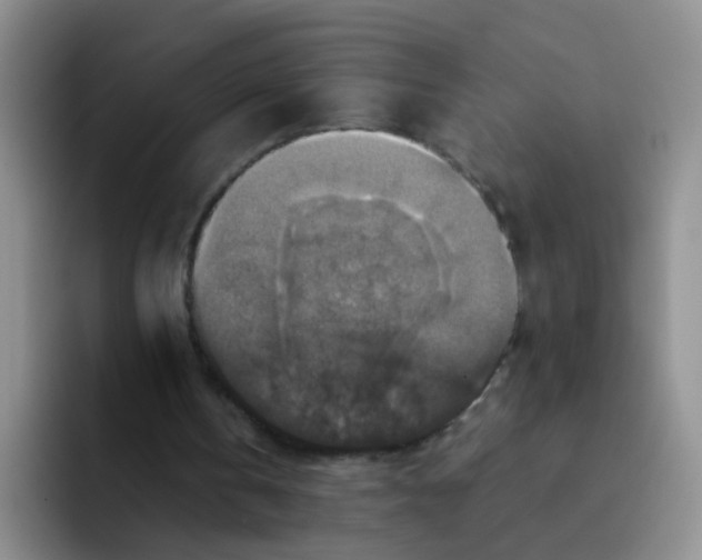 X0000091940146200709261938