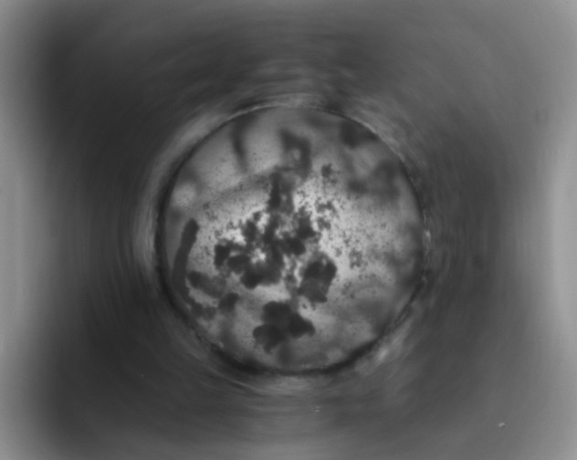 X0000091940149200709261939