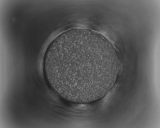 X0000091940151200709261939