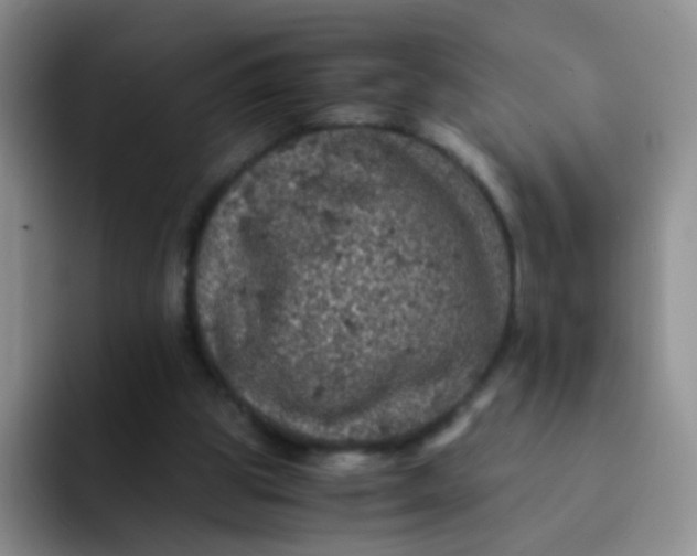 X0000091940153200709261939