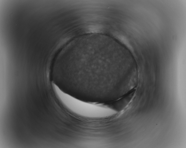 X0000091940154200709261939