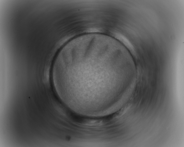 X0000091940155200709261939