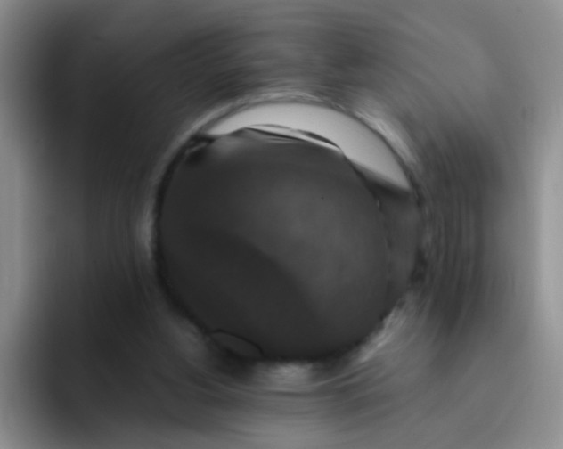 X0000091940156200709261939