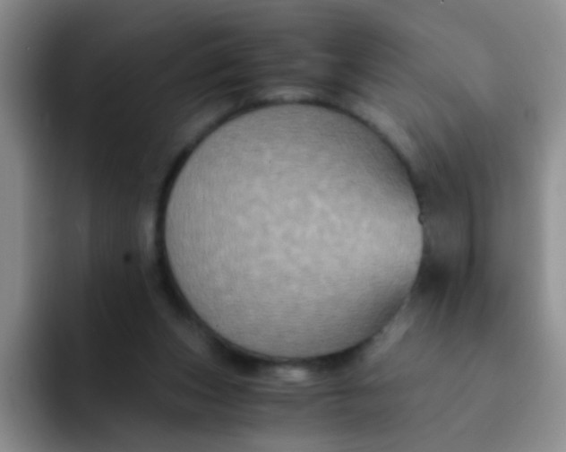 X0000091940159200709261939