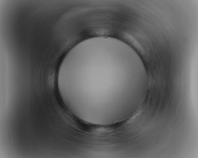 X0000091940163200709261939