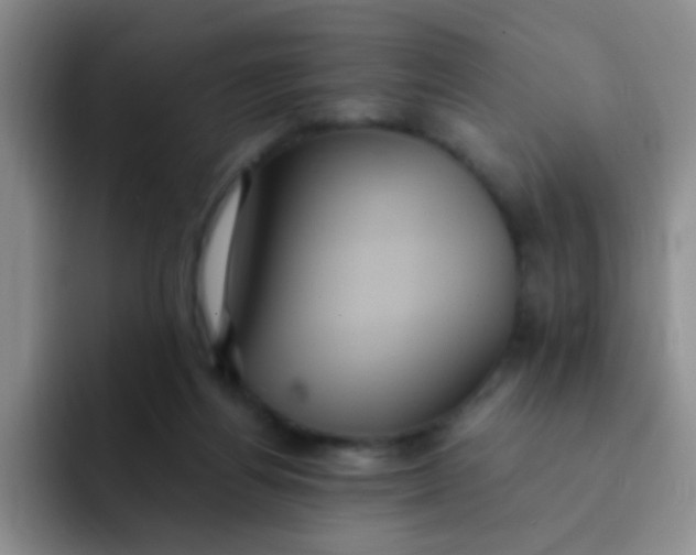 X0000091940164200709261939