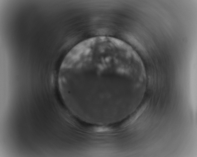 X0000091940165200709261939