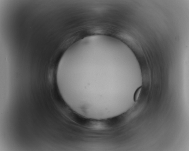 X0000091940167200709261939