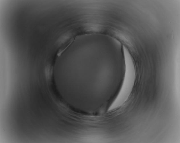 X0000091940168200709261939