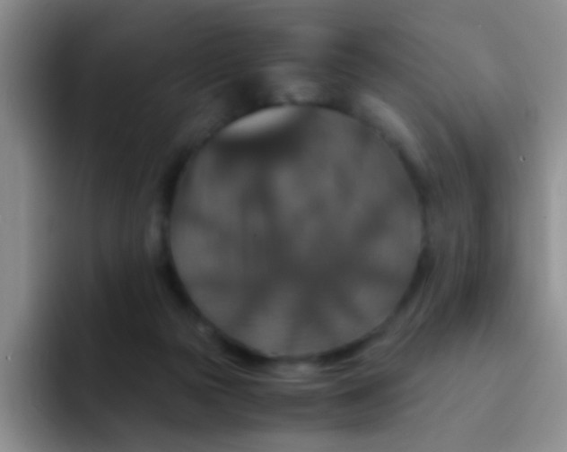 X0000091940169200709261939