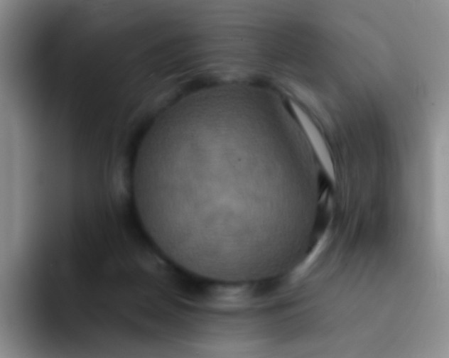 X0000091940170200709261939