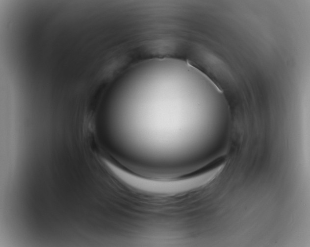 X0000091940172200709261939