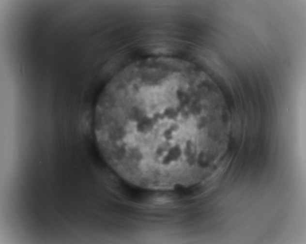 X0000091940175200709261939