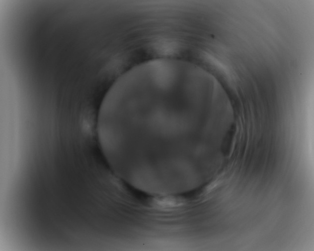 X0000091940181200709261939