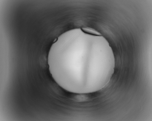 X0000091940183200709261939