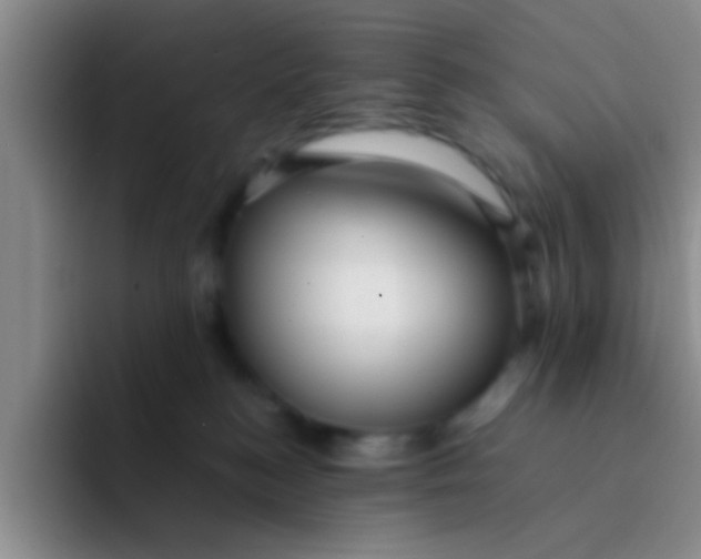 X0000091940184200709261939