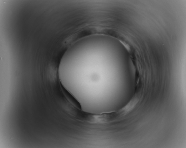 X0000091940188200709261939