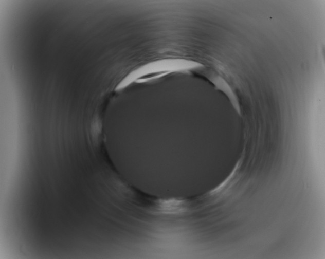 X0000091940192200709261939