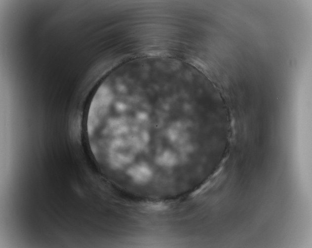 X0000091940194200709261938