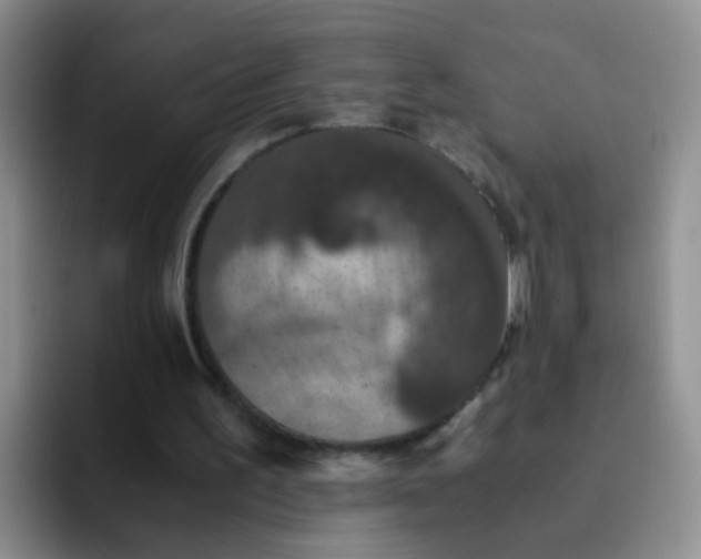 X0000091940195200709261938