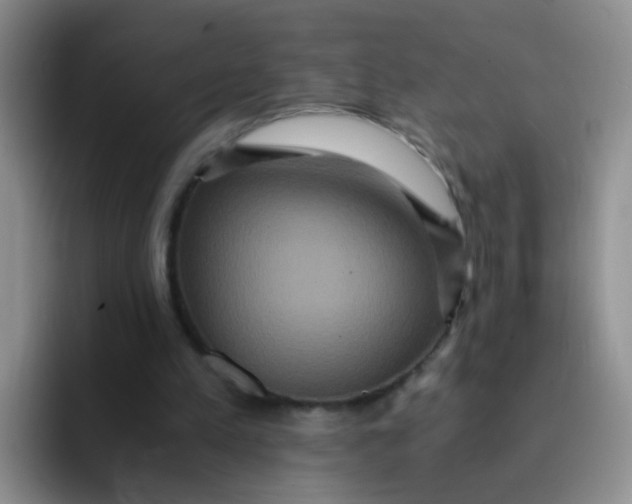 X0000091940197200709261938