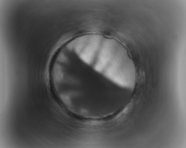 X0000091940198200709261938