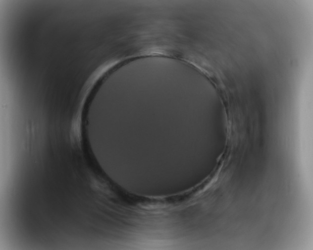 X0000091940200200709261938