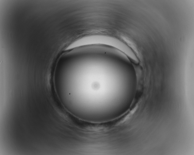 X0000091940201200709261938