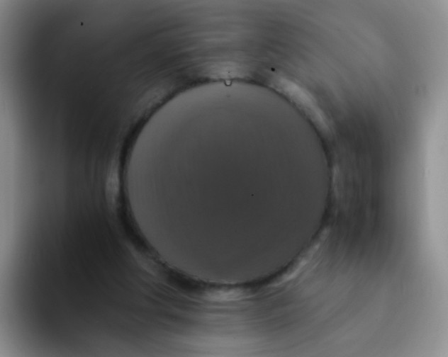 X0000091940202200709261938