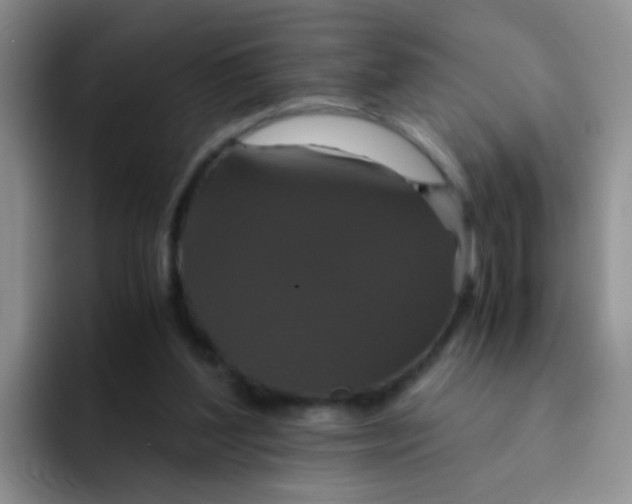 X0000091940204200709261938