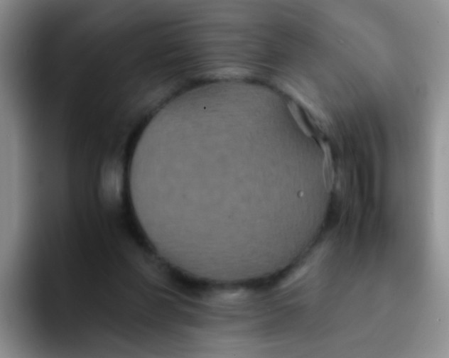 X0000091940206200709261938