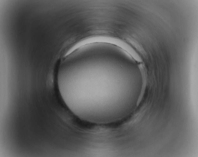 X0000091940207200709261938