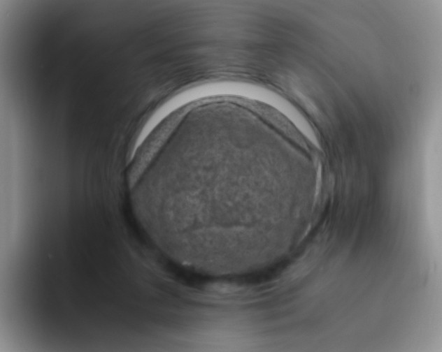 X0000091940211200709261938