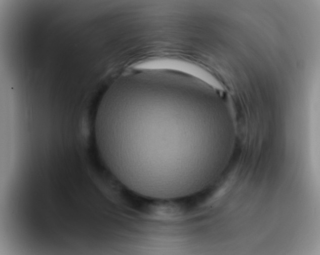 X0000091940215200709261938