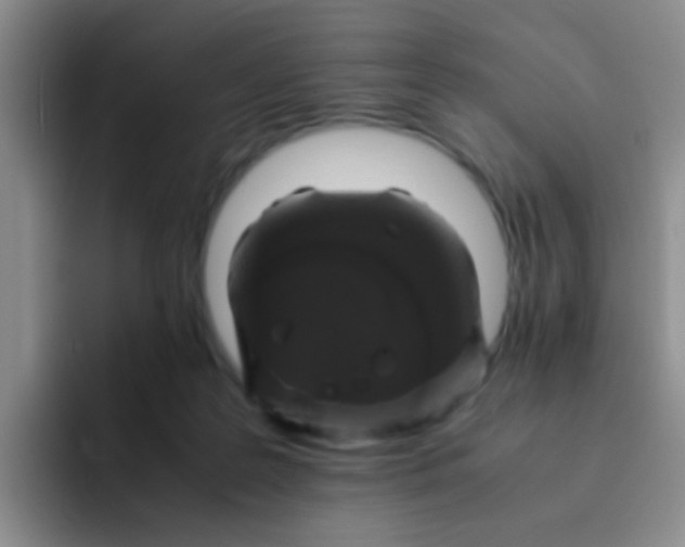 X0000091940219200709261938