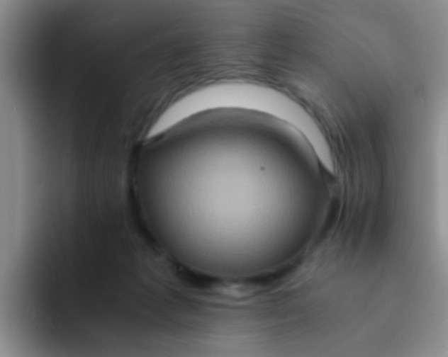 X0000091940221200709261938